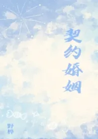 《契约婚姻（纯百）》小说在线阅读 野桦作品