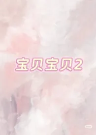 旁观者著作《宝贝宝贝2》小说全文阅读