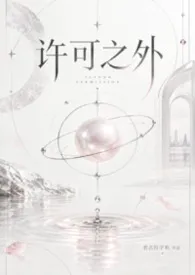 老式打字机著作《许可之外(1v1)》小说全文阅读