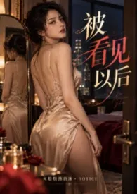 被看见以后作者:火般炽热的冰 全本免费阅读
