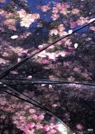 福祉临门著作《【综漫】抢了别人系统的老实人被X不是很正常吗》小说全文阅读