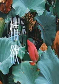 2026全新版本《做最纯的爱》 在线算命作品完结免费阅读
