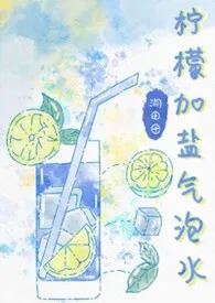 湖田田著作《柠檬加盐气泡水（兄妹骨）》小说全文阅读