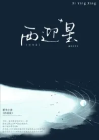 《西迎星》1970版小说全集 森木火火人完本作品