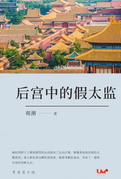后宫中的假太监小说完结版免费阅读(作者:观潮)